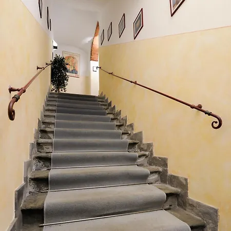 Hotel Amalfitana Pisa