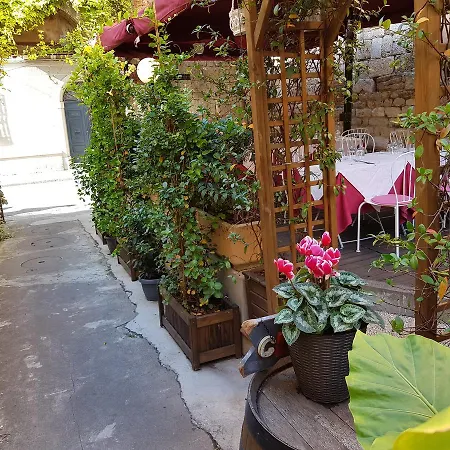 Amalfitana Pisa